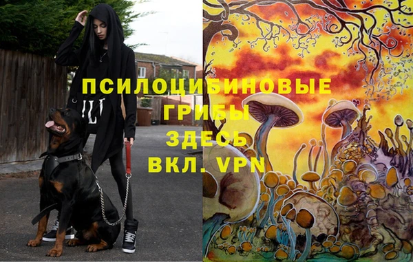 тгк Верхний Тагил