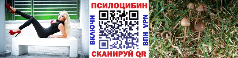 Псилоцибиновые грибы ЛСД  hydra ТОР  Плёс 