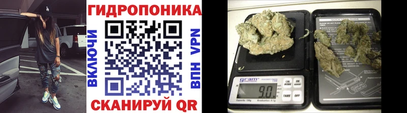 Канабис White Widow купить наркотик Плёс